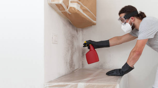 Professional Bathroom Mold Removal technician working in Pompton Lakes, NJ